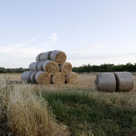 Agrimat Salento Sas Villa Alezio Eksteriør bilde