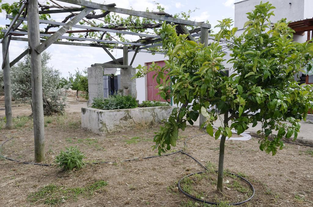 Agrimat Salento Sas Villa Alezio Eksteriør bilde