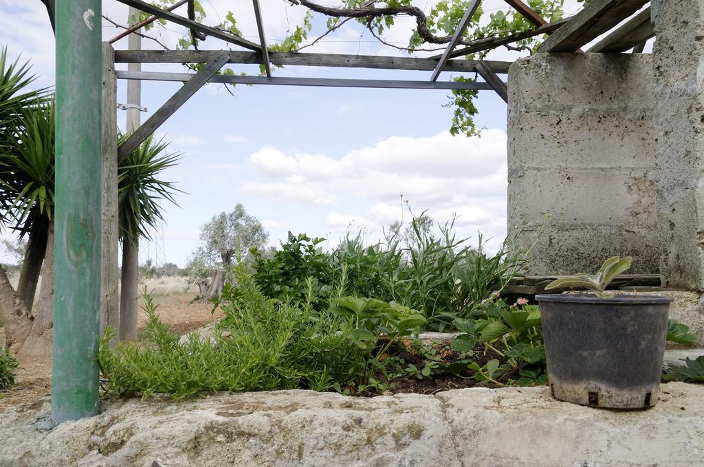 Agrimat Salento Sas Villa Alezio Eksteriør bilde